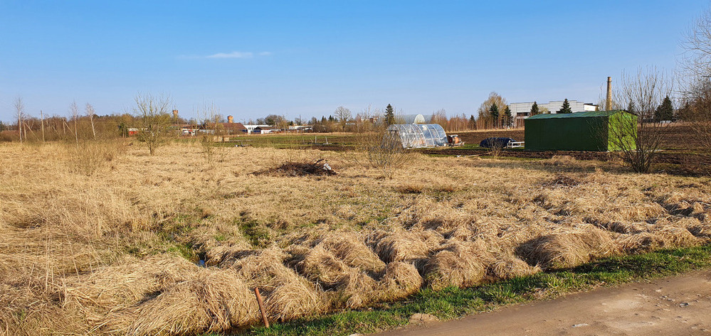 Parduodamas  sklypas Liūdynės k., Panevėžio r. sav., 17 a ploto 4