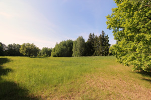 Parduodamas kitos paskirties sklypas Velikuškių k., Zarasų r. sav., 512 a ploto 6