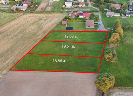 Parduodamas  sklypas Sodų tak., Tirkšlių mstl., Mažeikių r. sav., 19.63 a ploto