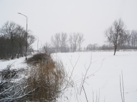 Parduodamas sklypas Centras, Šiaulių m., Šiaulių m. sav., 15.00 a ploto 11