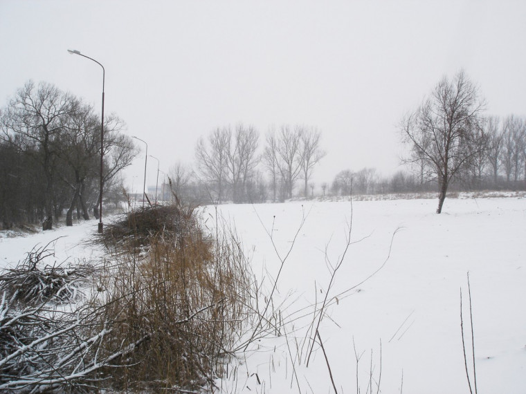 Parduodamas sklypas Centras, Šiaulių m., Šiaulių m. sav., 15.00 a ploto 11