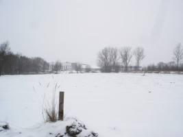 Parduodamas sklypas Centras, Šiaulių m., Šiaulių m. sav., 15.00 a ploto 13