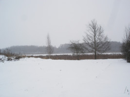 Parduodamas sklypas Centras, Šiaulių m., Šiaulių m. sav., 15.00 a ploto 14
