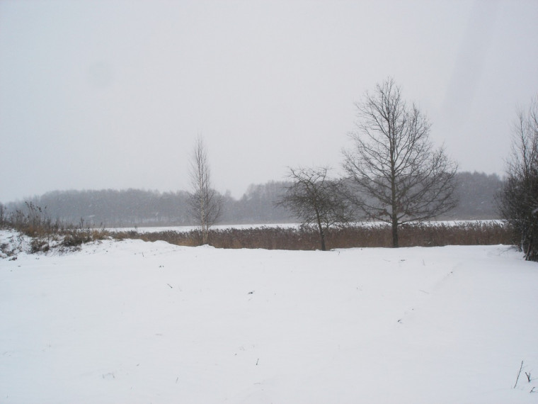 Parduodamas sklypas Centras, Šiaulių m., Šiaulių m. sav., 15.00 a ploto 14