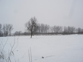 Parduodamas sklypas Centras, Šiaulių m., Šiaulių m. sav., 15.00 a ploto 9