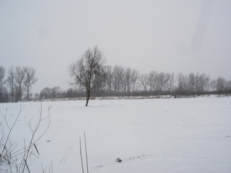 Parduodamas sklypas Centras, Šiaulių m., Šiaulių m. sav., 15.00 a ploto 9
