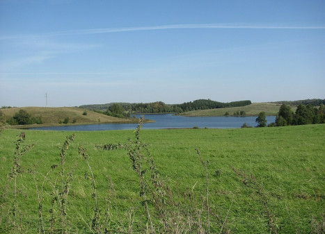 Parduodamas  sklypas Obeliškės vs., Zarasų r. sav., 257 a ploto