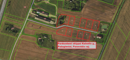 Parduodamas kitos paskirties sklypas Kalnelio, Pažagienių k., Panevėžio r. sav., 13.89 a ploto 2