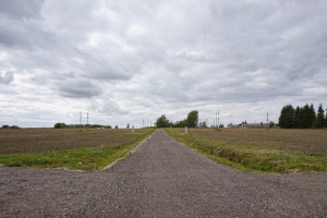Parduodamas kitos paskirties sklypas Kalnelio, Pažagienių k., Panevėžio r. sav., 13.89 a ploto 13