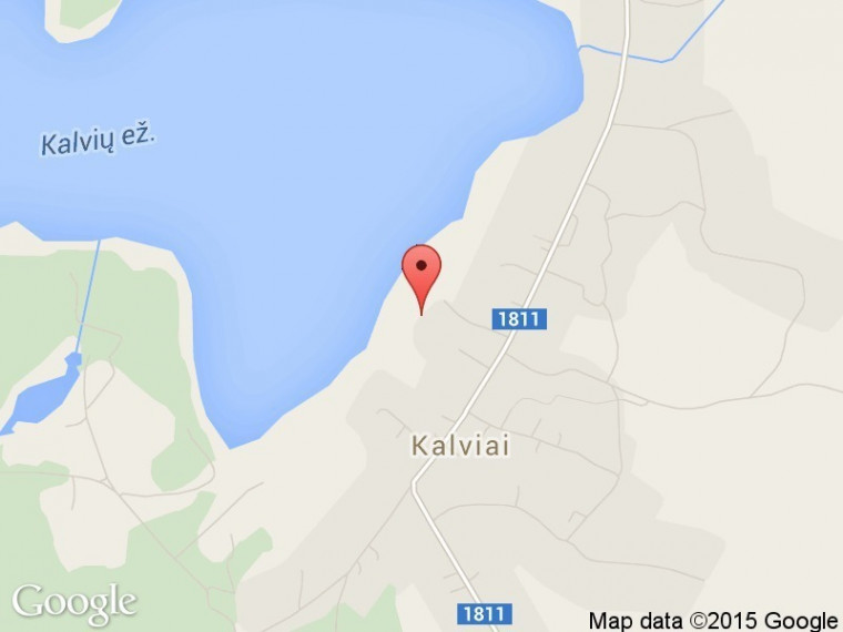 Parduodamas kitos paskirties sklypas Lapainios g., Kalvių k., Kaišiadorių r. sav., 98 a ploto 6