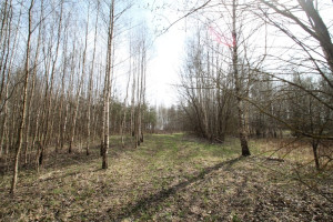 Parduodamas  sklypas Jauniūnų k., Širvintų r. sav., 13.45 a ploto 13