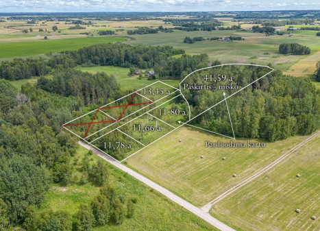 Parduodamas sklypas Jauniūnų k., Širvintų r. sav., 13.45 a ploto Parduodamas sklypas Jauniūnų k., Širvintų r. sav., 13.45 a ploto
