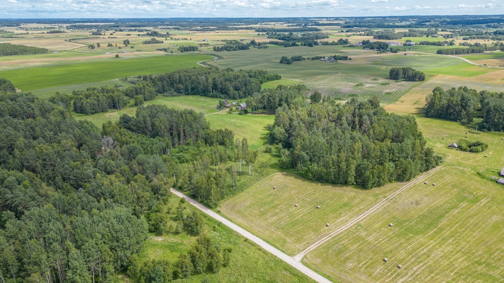 Parduodamas  sklypas Jauniūnų k., Širvintų r. sav., 13.45 a ploto 11