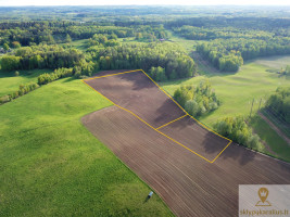 Parduodamas  sklypas Liepų g., Lazdėnų k., Elektrėnų sav., 216.59 a ploto 1