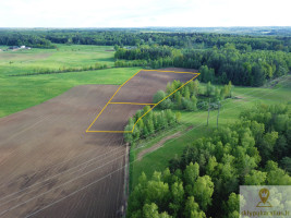 Parduodamas  sklypas Liepų g., Lazdėnų k., Elektrėnų sav., 216.59 a ploto 9