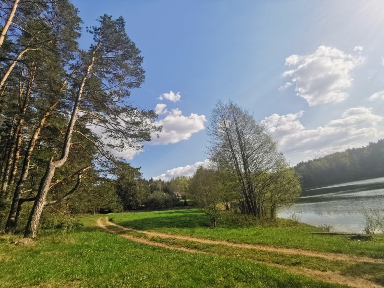 Parduodamas  sklypas Vytautavos k., Trakų r. sav., 79.8 a ploto 8