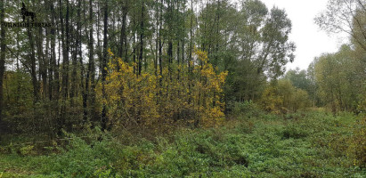 Parduodamas  sklypas Karklėnų k., Vilniaus r. sav., 455 a ploto 7