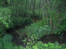Parduodamas  sklypas Karklėnų k., Vilniaus r. sav., 300 a ploto 5