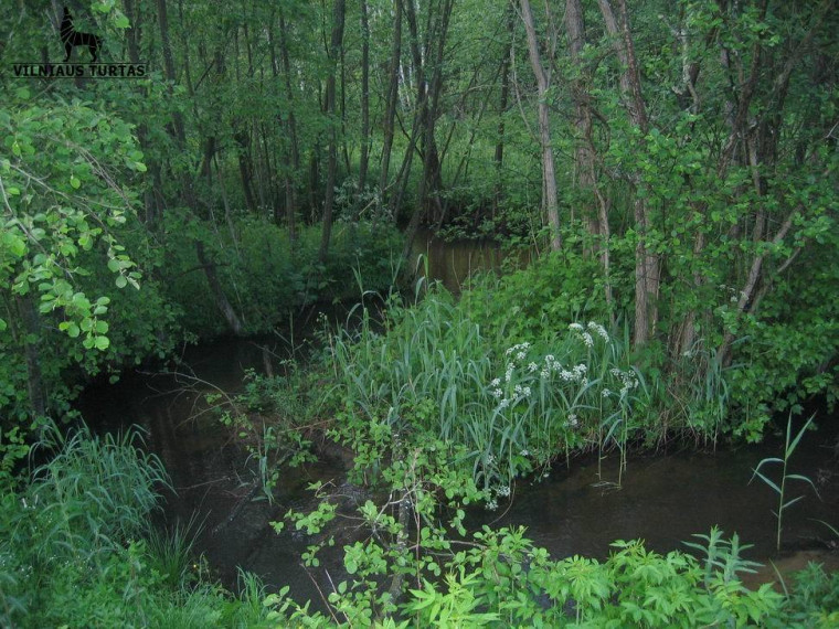 Parduodamas sklypas Karklėnų k., Vilniaus r. sav., 300 a ploto 5