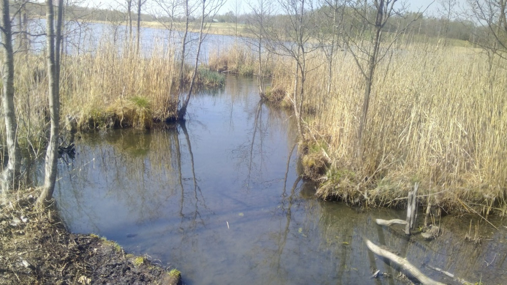 Parduodamas sklypas Degučių I k., Rokiškio r. sav., 956 a ploto 4
