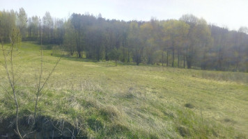 Parduodamas  sklypas Degučių I k., Rokiškio r. sav., 956 a ploto 6