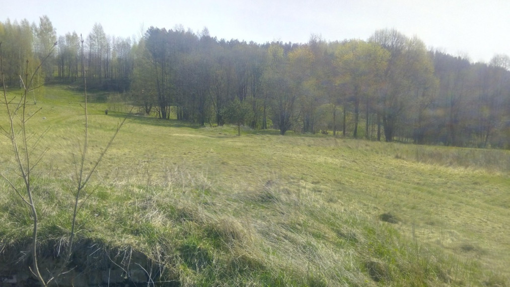 Parduodamas sklypas Degučių I k., Rokiškio r. sav., 956 a ploto 6