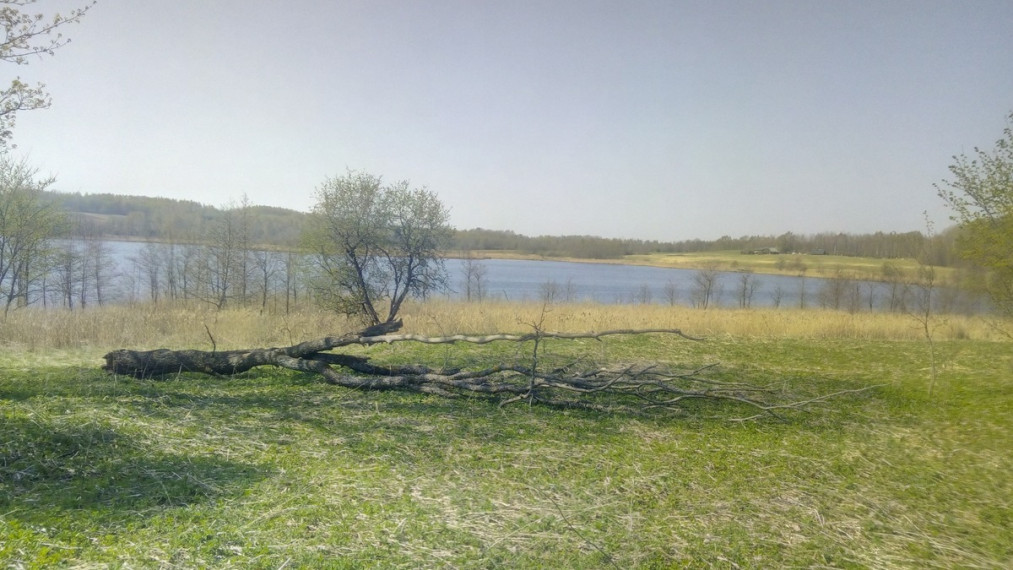 Parduodamas  sklypas Degučių I k., Rokiškio r. sav., 956 a ploto 10