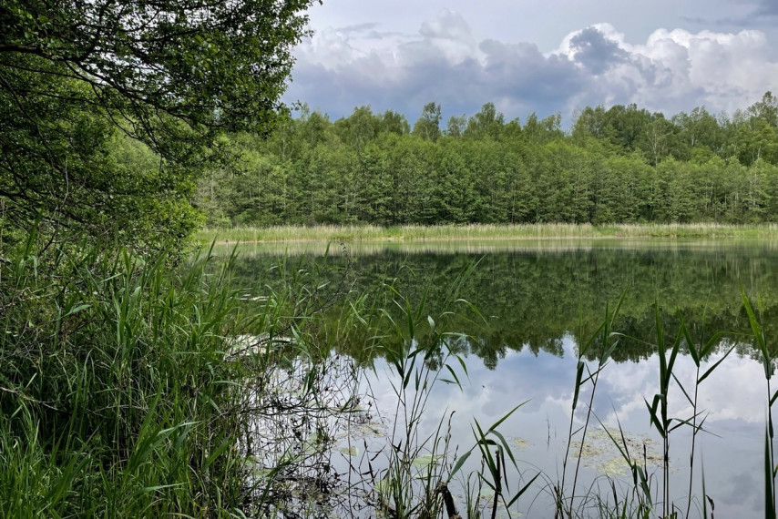 Parduodamas kitos paskirties sklypas Luokesos k., Molėtų r. sav., 619.46 a ploto 2