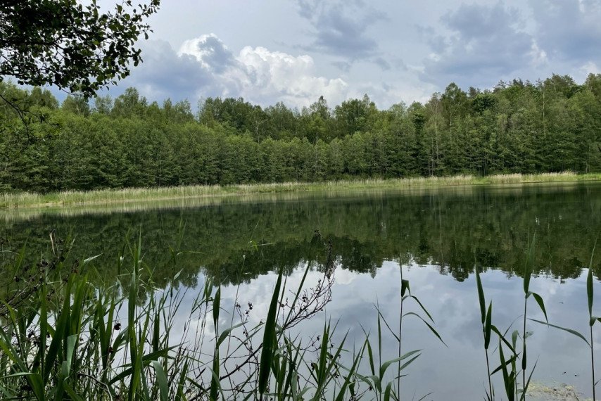 Parduodamas kitos paskirties sklypas Luokesos k., Molėtų r. sav., 619.46 a ploto 4