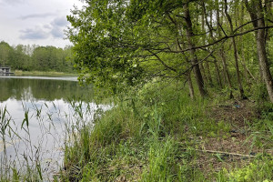 Parduodamas kitos paskirties sklypas Luokesos k., Molėtų r. sav., 619.46 a ploto 5
