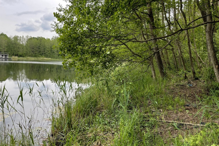 Parduodamas kitos paskirties sklypas Luokesos k., Molėtų r. sav., 619.46 a ploto 5