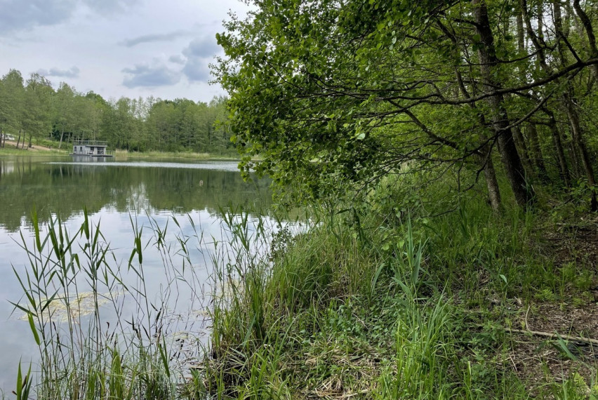 Parduodamas kitos paskirties sklypas Luokesos k., Molėtų r. sav., 619.46 a ploto 6
