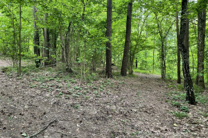 Parduodamas kitos paskirties sklypas Luokesos k., Molėtų r. sav., 619.46 a ploto 7