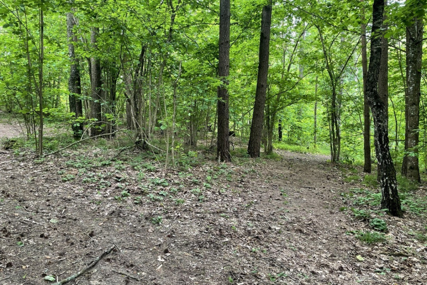 Parduodamas kitos paskirties sklypas Luokesos k., Molėtų r. sav., 619.46 a ploto 7