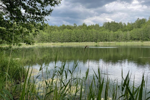Parduodamas kitos paskirties sklypas Luokesos k., Molėtų r. sav., 619.46 a ploto 9