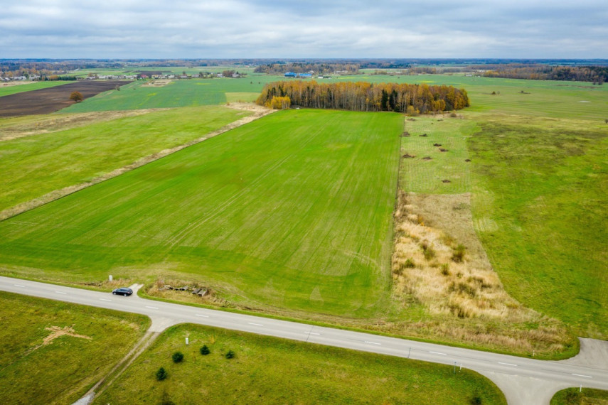 Parduodamas kitos paskirties sklypas Spyglių g., Eglynų k., Klaipėdos r. sav., 10 a ploto 7