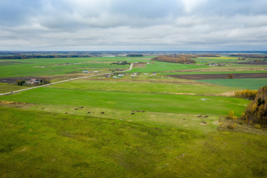 Parduodamas kitos paskirties sklypas Spyglių g., Eglynų k., Klaipėdos r. sav., 10 a ploto 14