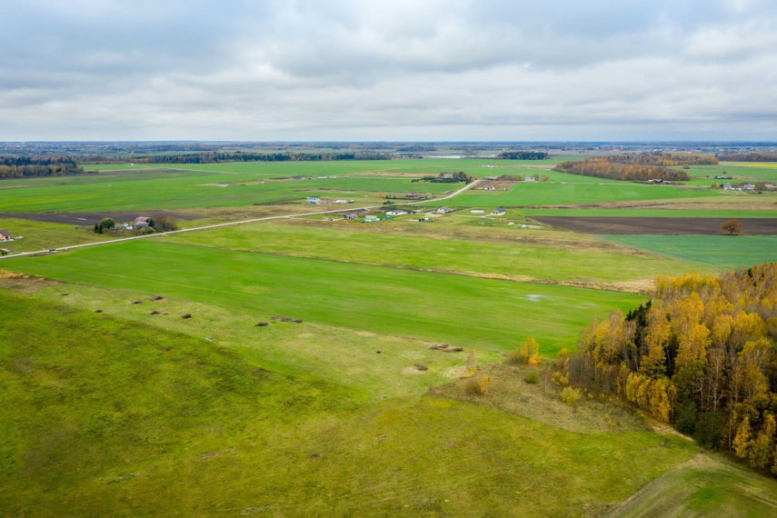 Parduodamas kitos paskirties sklypas Spyglių g., Eglynų k., Klaipėdos r. sav., 10 a ploto 15