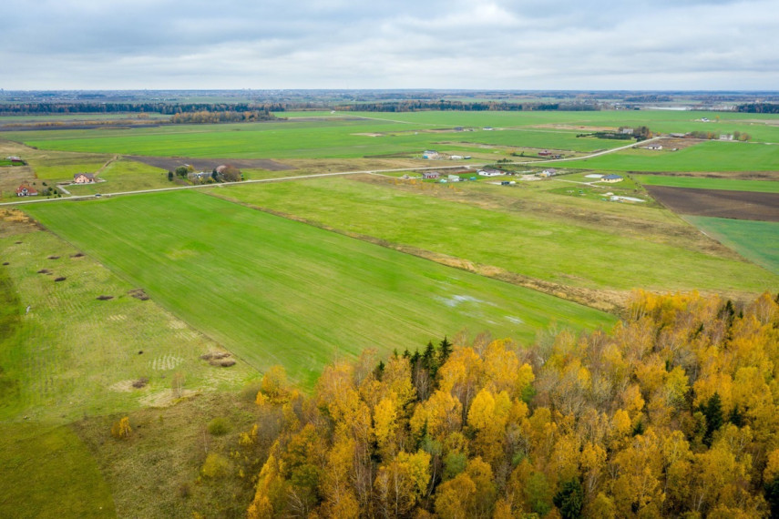 Parduodamas kitos paskirties sklypas Spyglių g., Eglynų k., Klaipėdos r. sav., 10 a ploto 16