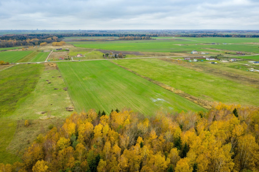 Parduodamas kitos paskirties sklypas Spyglių g., Eglynų k., Klaipėdos r. sav., 10 a ploto 17