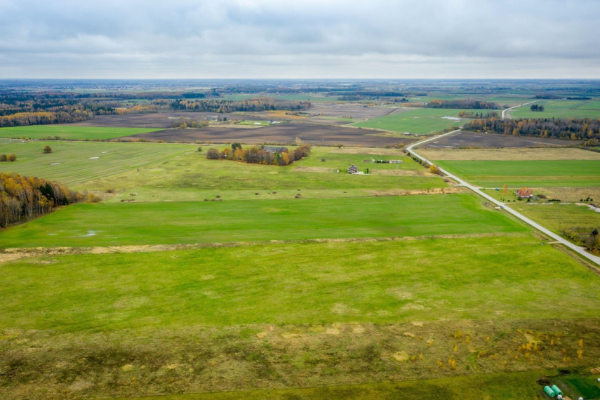 Parduodamas kitos paskirties sklypas Spyglių g., Eglynų k., Klaipėdos r. sav., 10 a ploto 21