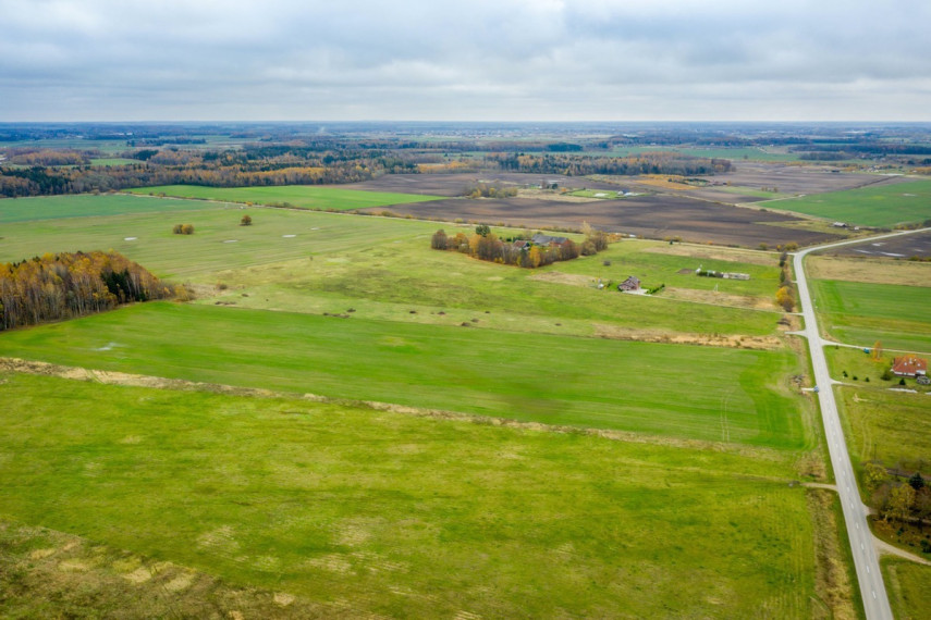 Parduodamas kitos paskirties sklypas Spyglių g., Eglynų k., Klaipėdos r. sav., 10 a ploto 22