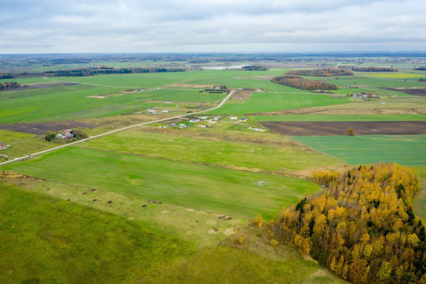 Parduodamas kitos paskirties sklypas Spyglių g., Eglynų k., Klaipėdos r. sav., 10 a ploto 28