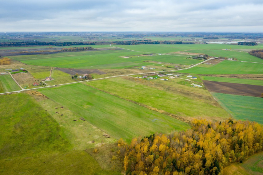 Parduodamas kitos paskirties sklypas Spyglių g., Eglynų k., Klaipėdos r. sav., 10 a ploto 29