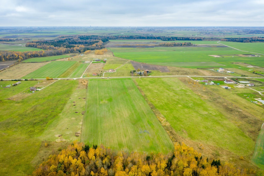 Parduodamas kitos paskirties sklypas Spyglių g., Eglynų k., Klaipėdos r. sav., 10 a ploto 31