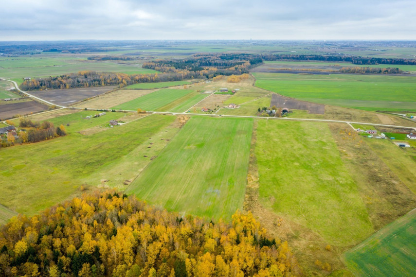 Parduodamas kitos paskirties sklypas Spyglių g., Eglynų k., Klaipėdos r. sav., 10 a ploto 32