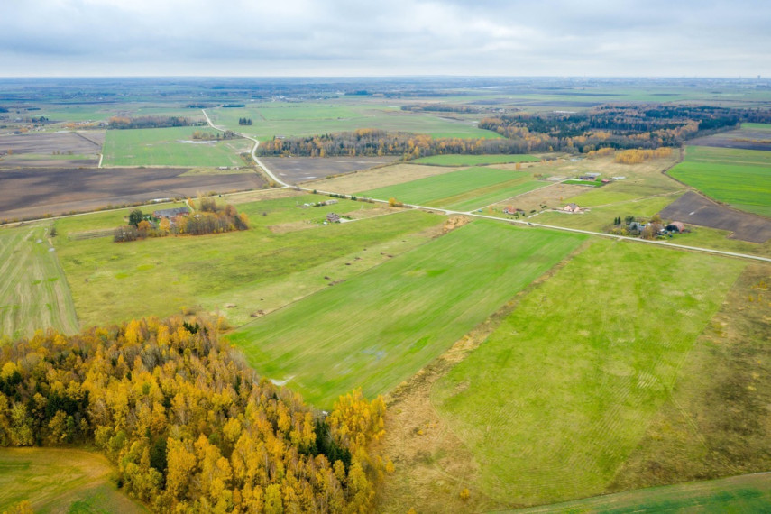 Parduodamas kitos paskirties sklypas Spyglių g., Eglynų k., Klaipėdos r. sav., 10 a ploto 33