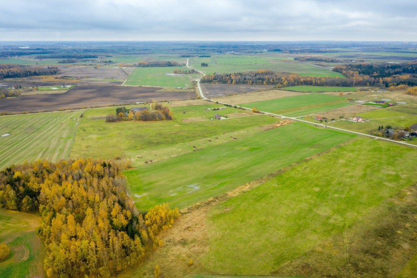 Parduodamas kitos paskirties sklypas Spyglių g., Eglynų k., Klaipėdos r. sav., 10 a ploto 34