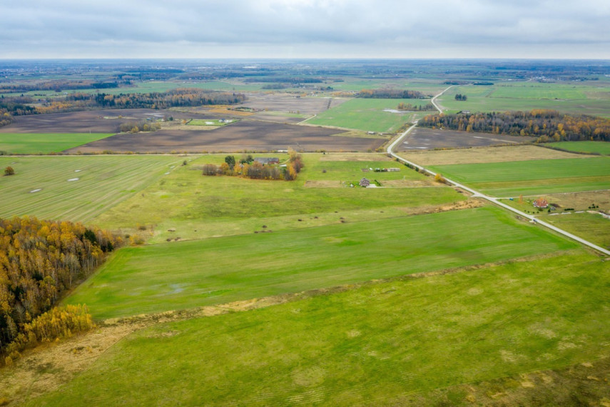 Parduodamas kitos paskirties sklypas Spyglių g., Eglynų k., Klaipėdos r. sav., 10 a ploto 35