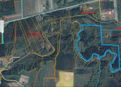 Parduodamas  sklypas -, Gintarų k., Kretingos r. sav., 1654 a ploto